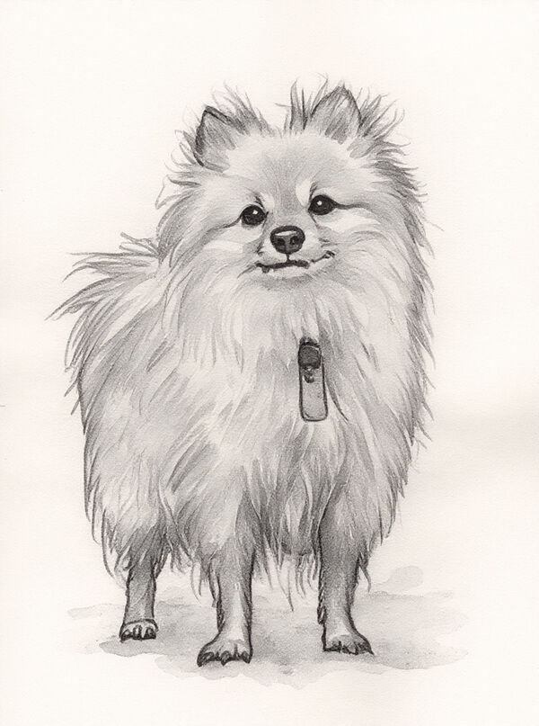 inspiration-ink-wash-pets
